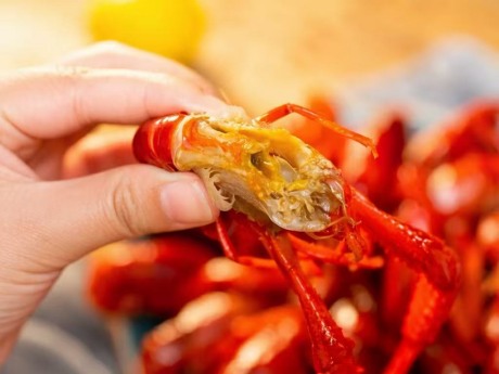 ��������С��Ϻ����С�û�����Ʒ�ˣ�