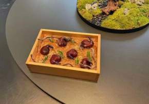 �廨���գ�����������Ʒ��ˣ�