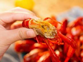 ��������С��Ϻ����С�û�����Ʒ�ˣ�