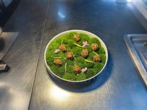 ��˼�����پƵ�߶����  �����Ģ������